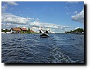 P1150057.JPG