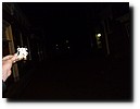 P1150863.JPG