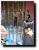 P1160004.JPG