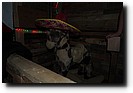 PB110155.JPG