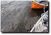P7143546.JPG