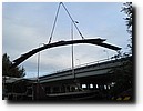 PA167176.jpg