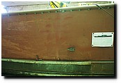P6119643.JPG