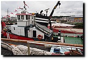 P8187835.JPG