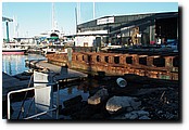 P1018926.JPG