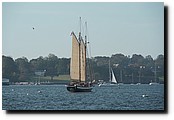PA228829.JPG