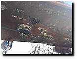 20160718_104535.jpg