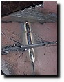 20160802_135553.jpg