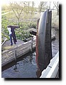 20170411_195012.jpg