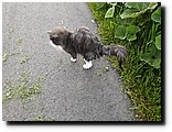 20170513_214254.jpg