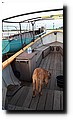 2017-07-04 21.06.47.jpg