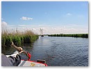 IMG_6540.JPG