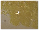 IMG_8223.JPG