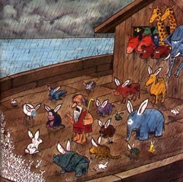 noahfull.jpg