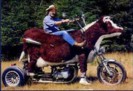 HarleyCow limited_edition.jpg
