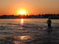 IMG_8633.JPG