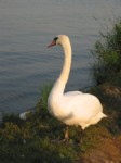 IMG_8715.JPG